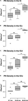 The Density of Perineuronal Nets Increases With Age in the Inferior Colliculus in the Fischer Brown Norway Rat